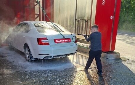 Skoda Octavia, 2019 год, 1 300 000 рублей, 8 фотография