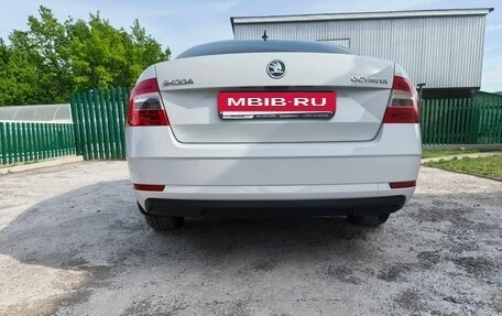 Skoda Octavia, 2019 год, 1 880 000 рублей, 13 фотография