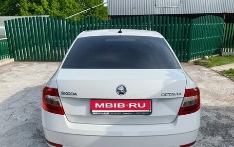 Skoda Octavia, 2019 год, 1 880 000 рублей, 12 фотография