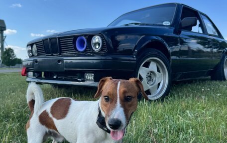 BMW 3 серия, 1985 год, 400 000 рублей, 3 фотография