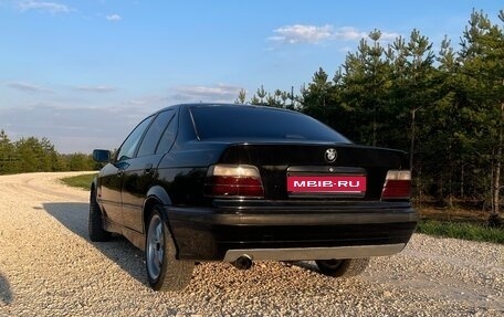 BMW 3 серия, 1998 год, 270 000 рублей, 6 фотография