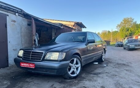 Mercedes-Benz S-Класс, 1994 год, 380 000 рублей, 1 фотография