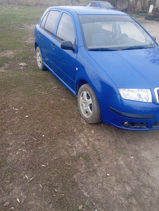 Skoda Fabia I рестайлинг, 2005 год, 370 000 рублей, 4 фотография