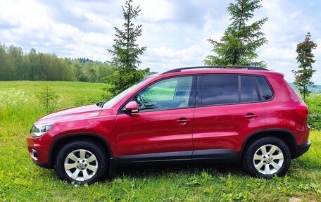 Volkswagen Tiguan I, 2013 год, 1 200 000 рублей, 6 фотография