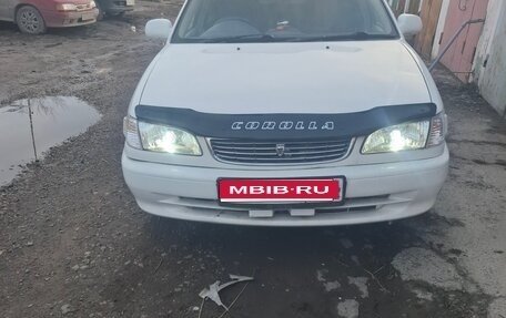 Toyota Corolla, 1998 год, 300 000 рублей, 1 фотография