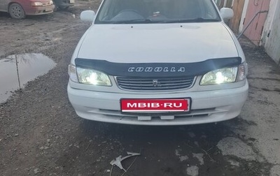Toyota Corolla, 1998 год, 300 000 рублей, 1 фотография