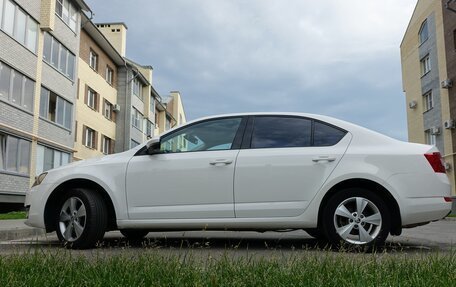Skoda Octavia, 2014 год, 1 300 000 рублей, 17 фотография