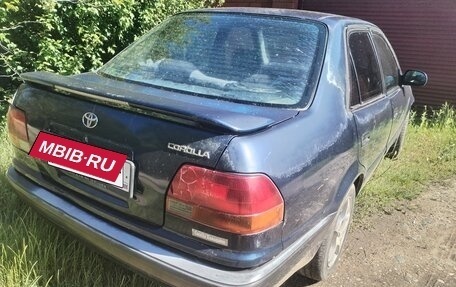 Toyota Corolla, 1995 год, 185 000 рублей, 2 фотография