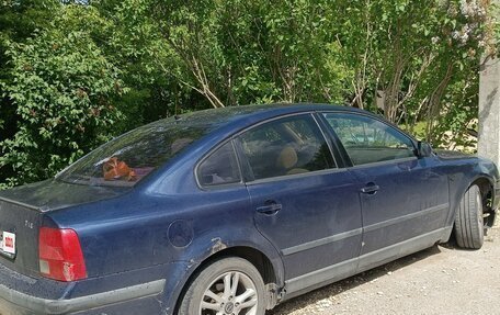Volkswagen Passat B5+ рестайлинг, 2000 год, 380 000 рублей, 3 фотография