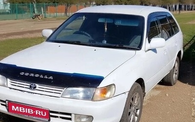 Toyota Corolla, 1998 год, 350 000 рублей, 1 фотография