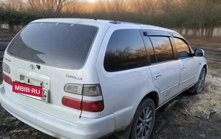 Toyota Corolla, 1998 год, 350 000 рублей, 3 фотография