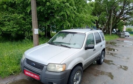 Ford Escape II, 2002 год, 250 000 рублей, 1 фотография