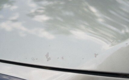 BMW 6 серия, 2004 год, 1 250 000 рублей, 22 фотография