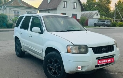 Ford Escape II, 2001 год, 430 000 рублей, 1 фотография