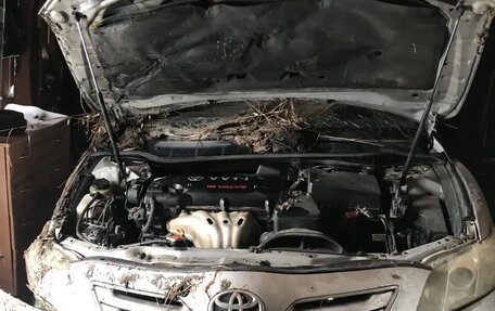 Toyota Camry, 2006 год, 300 000 рублей, 1 фотография