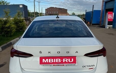 Skoda Octavia IV, 2023 год, 2 650 000 рублей, 6 фотография