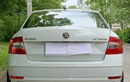 Skoda Octavia, 2019 год, 1 700 000 рублей, 1 фотография