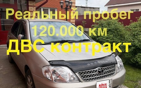Toyota Corolla, 2002 год, 580 000 рублей, 1 фотография