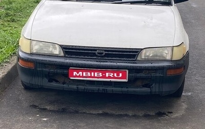 Toyota Corolla, 2002 год, 270 000 рублей, 1 фотография