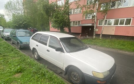 Toyota Corolla, 2002 год, 270 000 рублей, 5 фотография