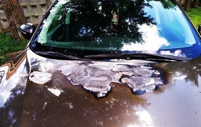 Nissan Qashqai, 2014 год, 770 000 рублей, 1 фотография