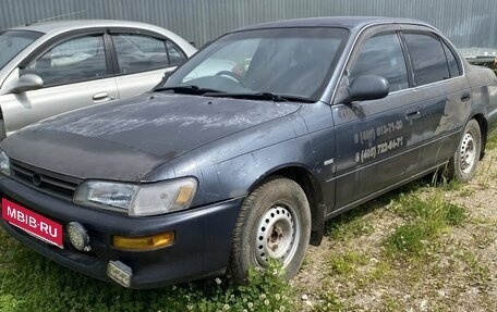 Toyota Corolla, 1987 год, 130 000 рублей, 7 фотография