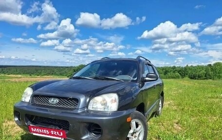 Hyundai Santa Fe III рестайлинг, 2002 год, 295 000 рублей, 28 фотография