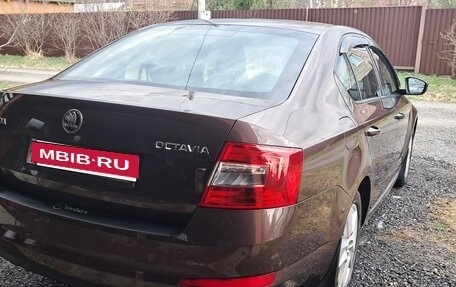 Skoda Octavia, 2016 год, 1 490 000 рублей, 15 фотография
