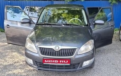 Skoda Fabia II, 2010 год, 560 000 рублей, 1 фотография