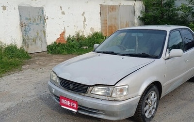 Toyota Corolla, 1998 год, 230 000 рублей, 1 фотография