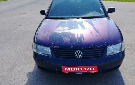 Volkswagen Passat B5+ рестайлинг, 1999 год, 190 000 рублей, 1 фотография