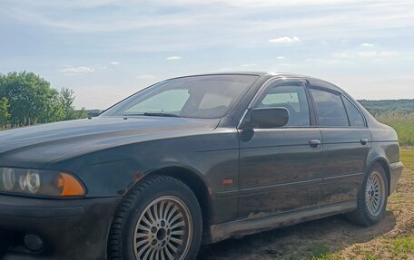 BMW 5 серия, 2002 год, 485 000 рублей, 3 фотография