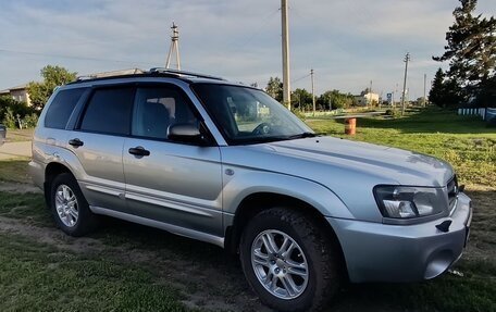 Subaru Forester, 2005 год, 850 000 рублей, 1 фотография