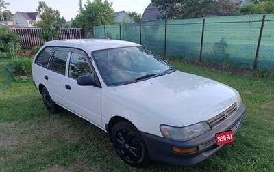 Toyota Corolla, 1999 год, 355 000 рублей, 1 фотография