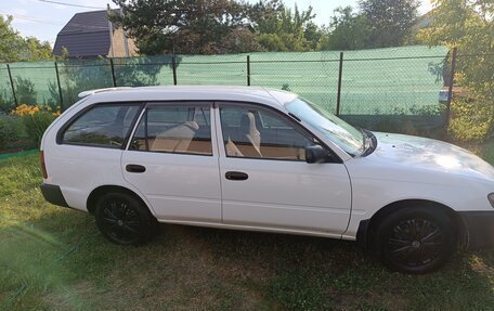 Toyota Corolla, 1999 год, 355 000 рублей, 3 фотография