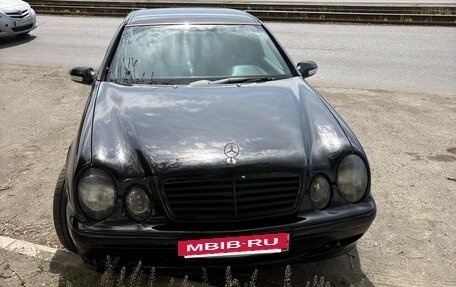 Mercedes-Benz CLK-Класс, 1999 год, 800 000 рублей, 5 фотография