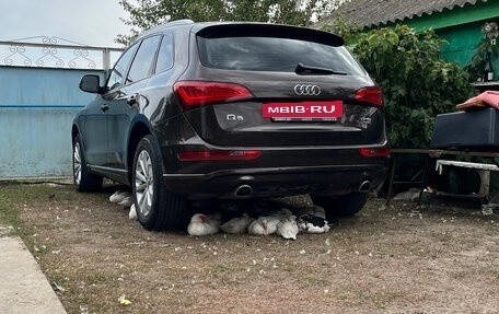 Audi Q5, 2013 год, 1 680 000 рублей, 2 фотография
