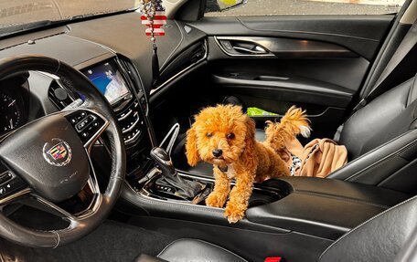 Cadillac ATS I рестайлинг, 2013 год, 1 650 000 рублей, 3 фотография