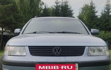 Volkswagen Passat B5+ рестайлинг, 1999 год, 320 000 рублей, 1 фотография