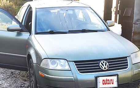 Volkswagen Passat B5+ рестайлинг, 2001 год, 176 000 рублей, 4 фотография