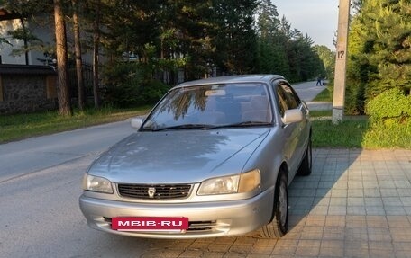 Toyota Corolla, 1998 год, 320 000 рублей, 5 фотография