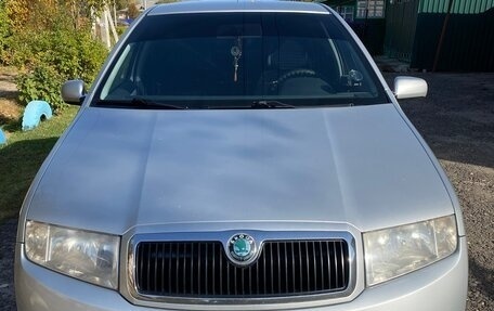 Skoda Fabia I, 2001 год, 300 000 рублей, 1 фотография
