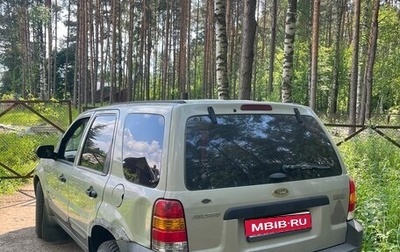 Ford Escape II, 2004 год, 370 000 рублей, 1 фотография