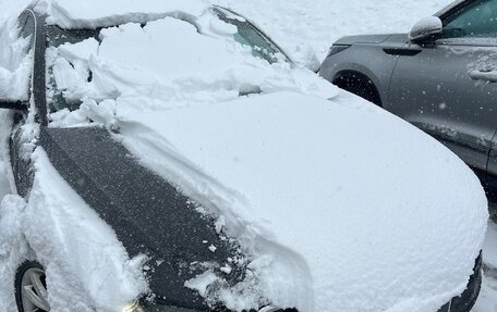Audi A4, 2008 год, 500 000 рублей, 1 фотография