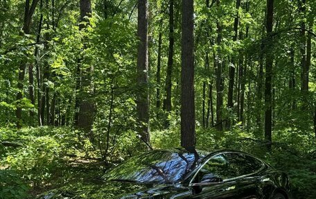 Tesla Model S I, 2017 год, 2 620 000 рублей, 3 фотография
