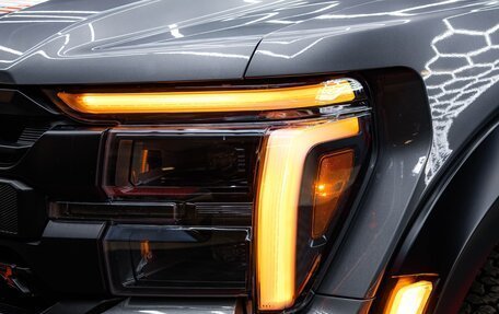 Ford F-150, 2025 год, 16 490 000 рублей, 11 фотография