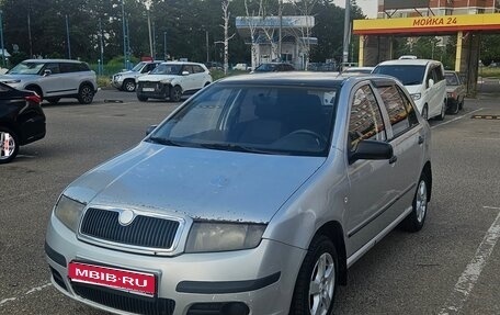 Skoda Fabia I, 2007 год, 300 000 рублей, 1 фотография