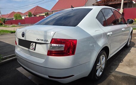 Skoda Octavia, 2019 год, 1 900 000 рублей, 7 фотография