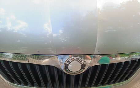 Skoda Fabia II, 2010 год, 450 000 рублей, 12 фотография