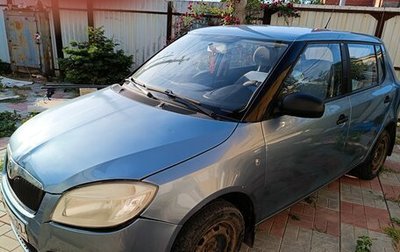 Skoda Fabia II, 2007 год, 300 000 рублей, 1 фотография